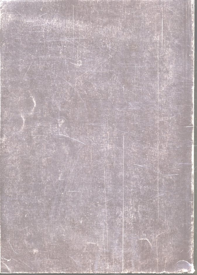 ปอร์ตแลนด์ซีเมนต์ ประเภทห้า ตรา ปลาฉลาม