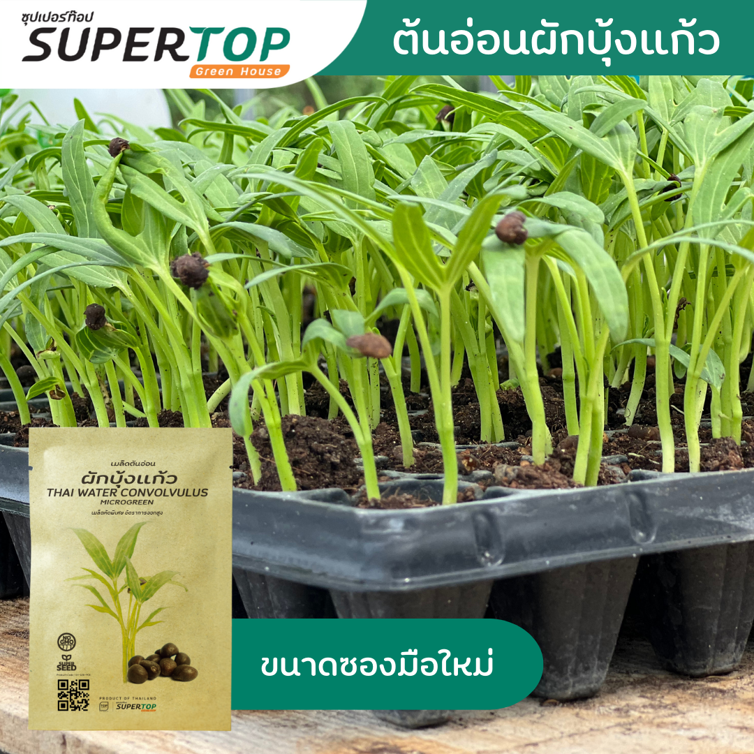 เมล็ดเพาะต้นอ่อน (Microgreen) SUPERTOP | Non-GMO ขนาดซองมือใหม่