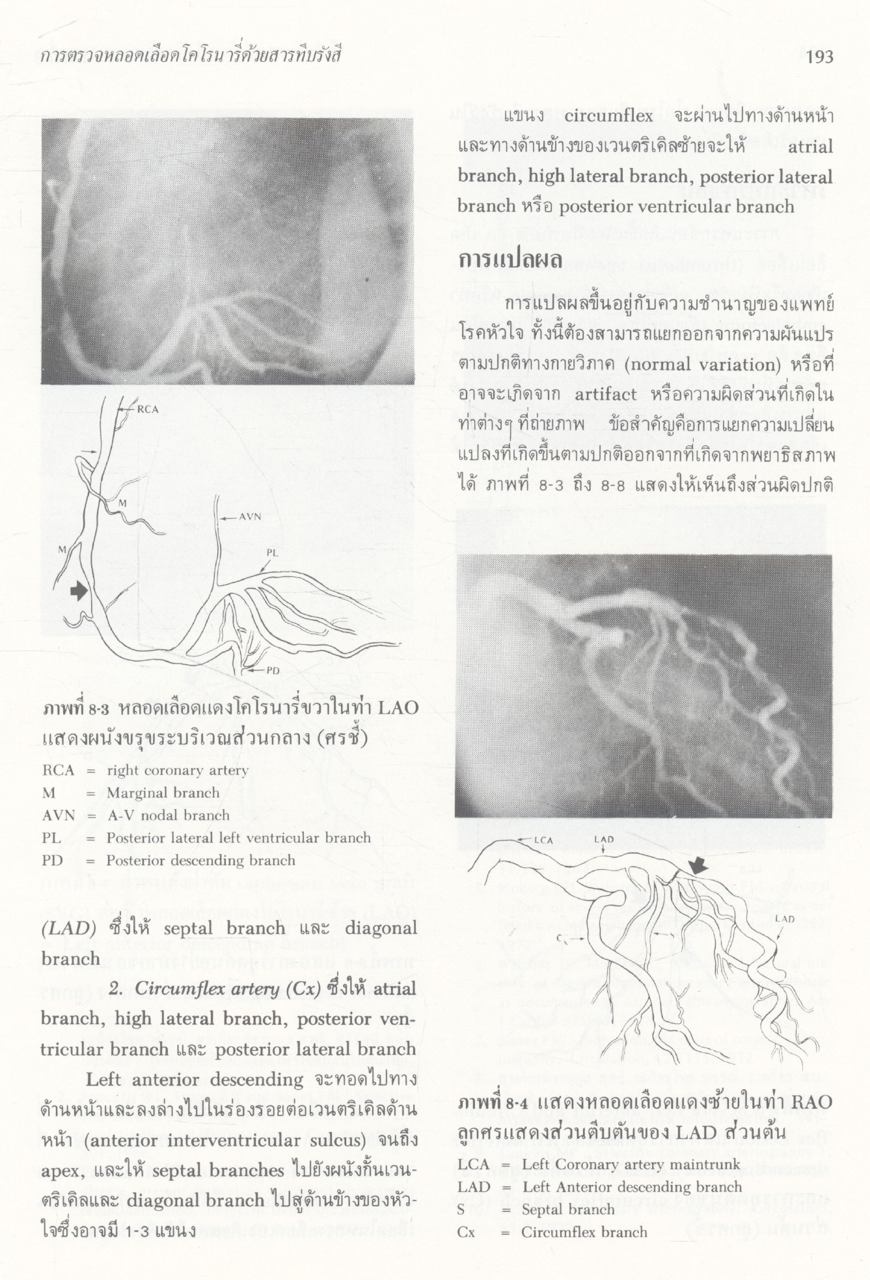 ตำราโรคหัวใจและหลอดเลือด