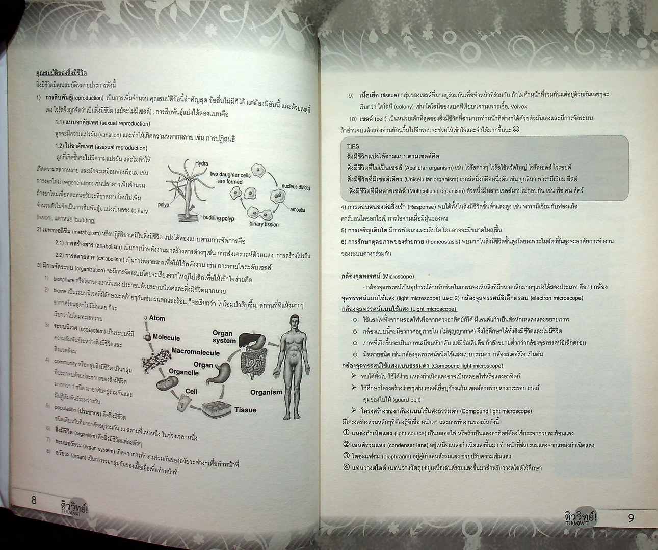 สรุปเนื้อหาชีววิทยา ม.ปลาย BIOLOGY