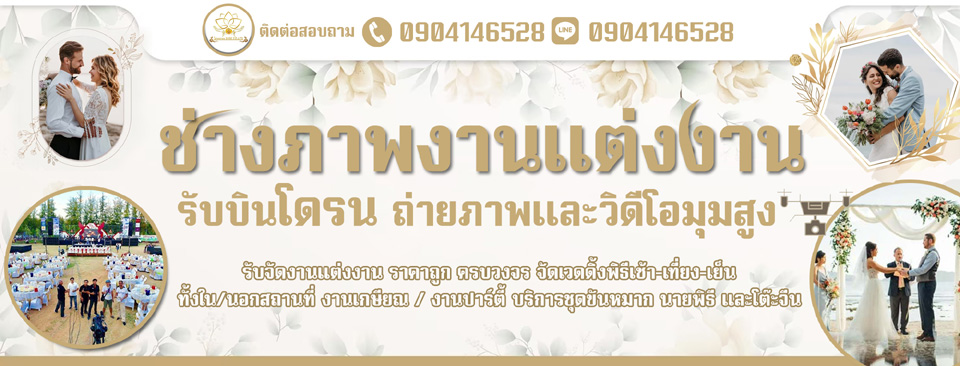 แหล่งรวมไผ่ ขายพันธุ์ไผ่