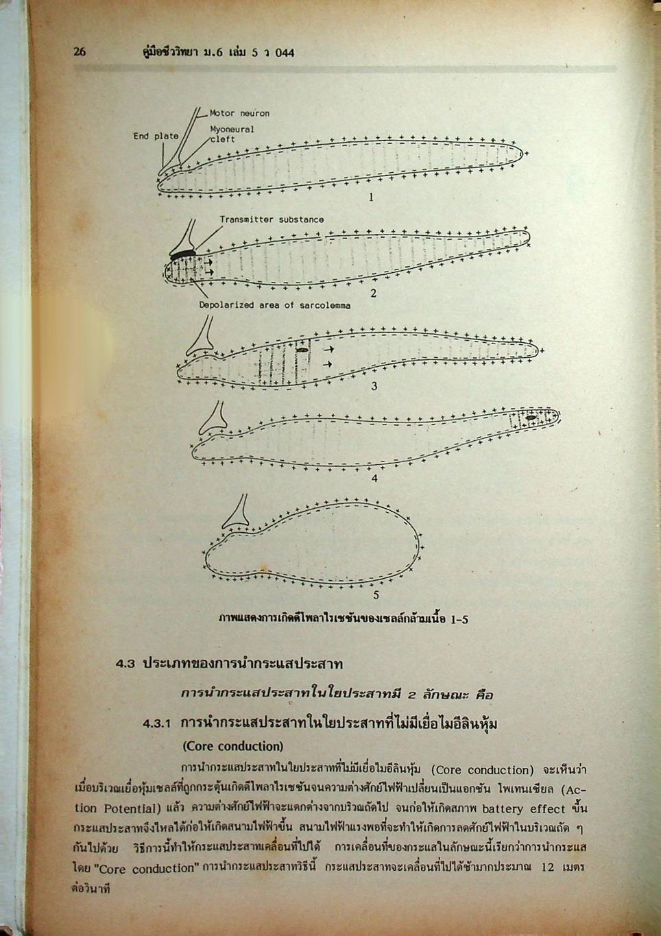 คู่มือเตรียมสอบ ชีววิทยา ม.6 เล่ม 5 ว 044