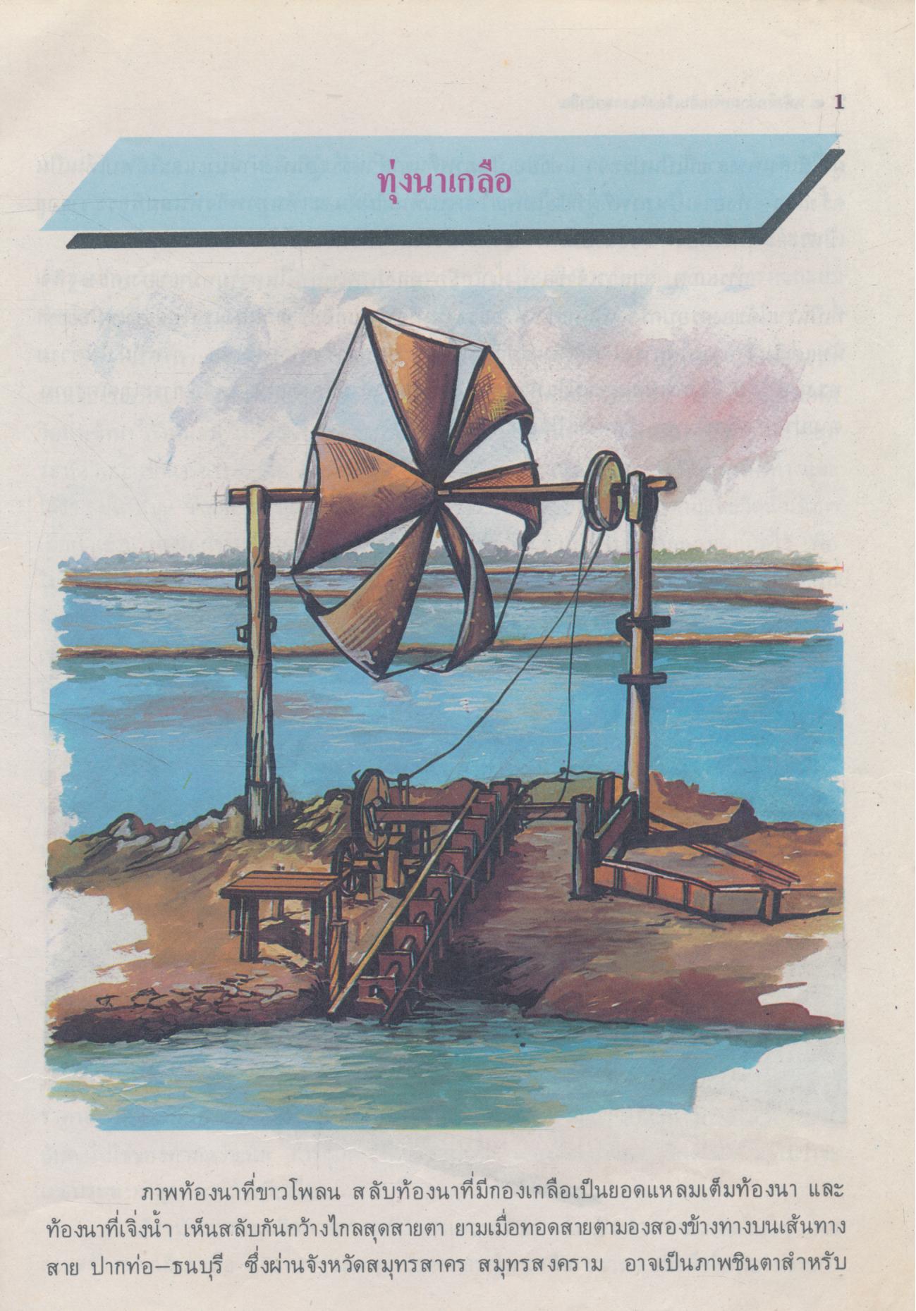 หนังสืออ่านเพิ่มเติม สาวนาเกลือ