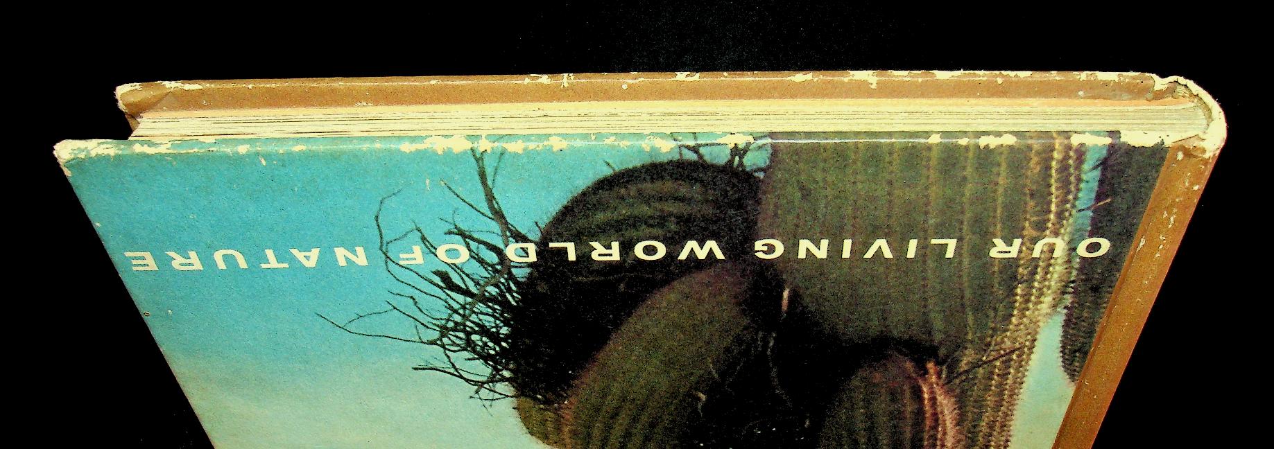 The Life of the Desert