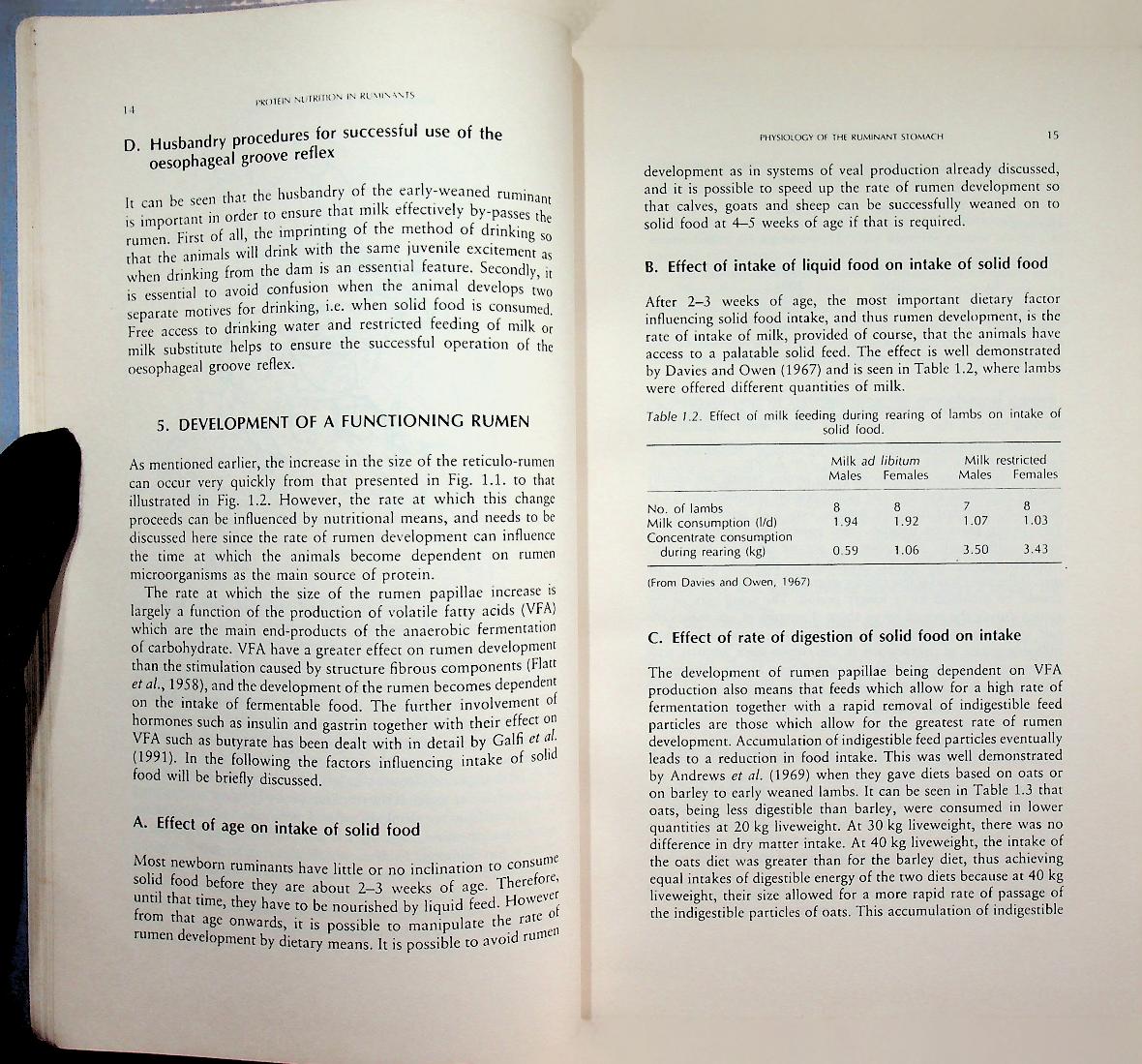 Protein Nutrition in Ruminants