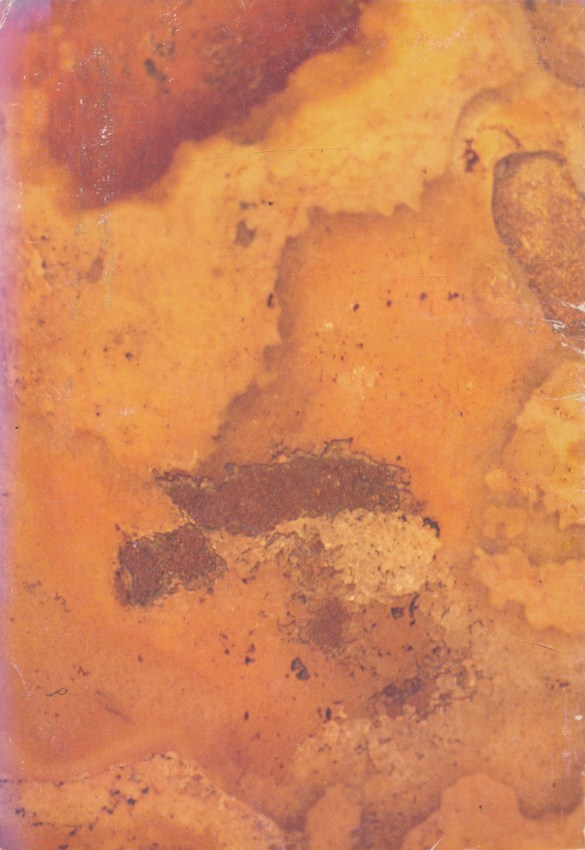 นวกานุสรณ์ ๒๕๓๗ วัดเบญจมบพิตรดุสิตานาราม