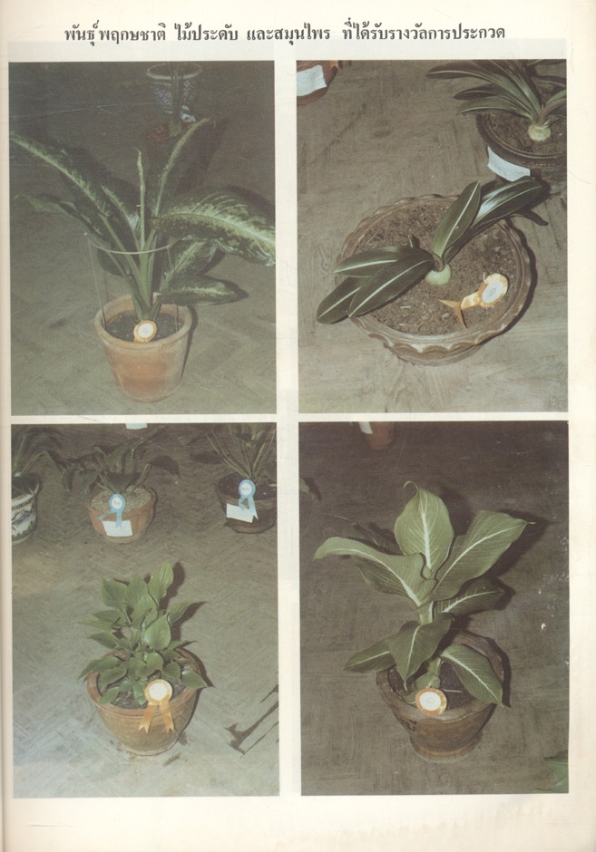 รวมเรื่องราวต่างๆ เกี่ยวกับ โครงการตามพระราชดำริสวนป่าสมุนไพร คำบรรยายในการอบรมหลักสูตรพิเศษ ประสบการณ์ในการใช้สมุนไพร