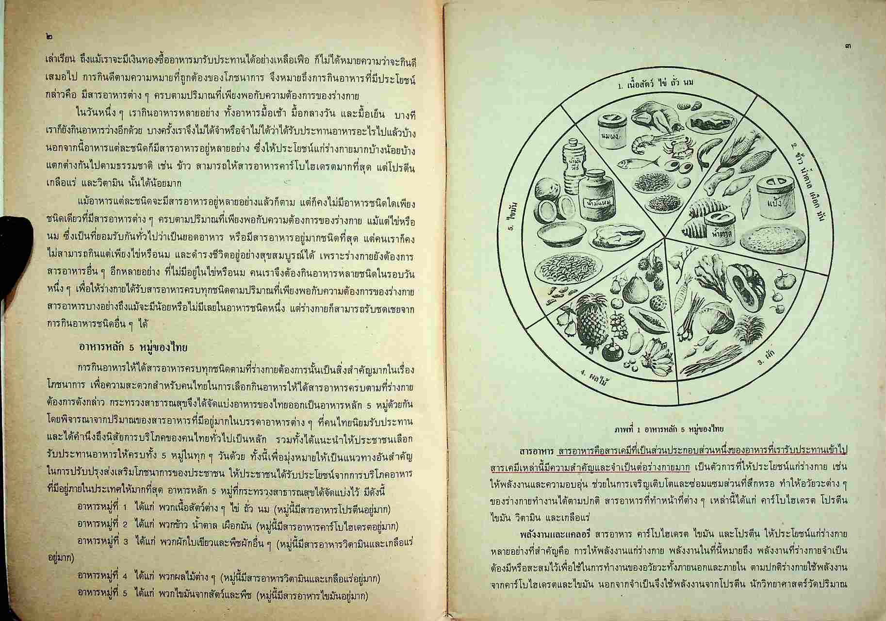 หนังสือเรียนวิชาพลานามัย พ ๑๐๑ พ ๑๐๒ สุขศึกษา ชั้นมัธยมศึกษาปีที่ ๑