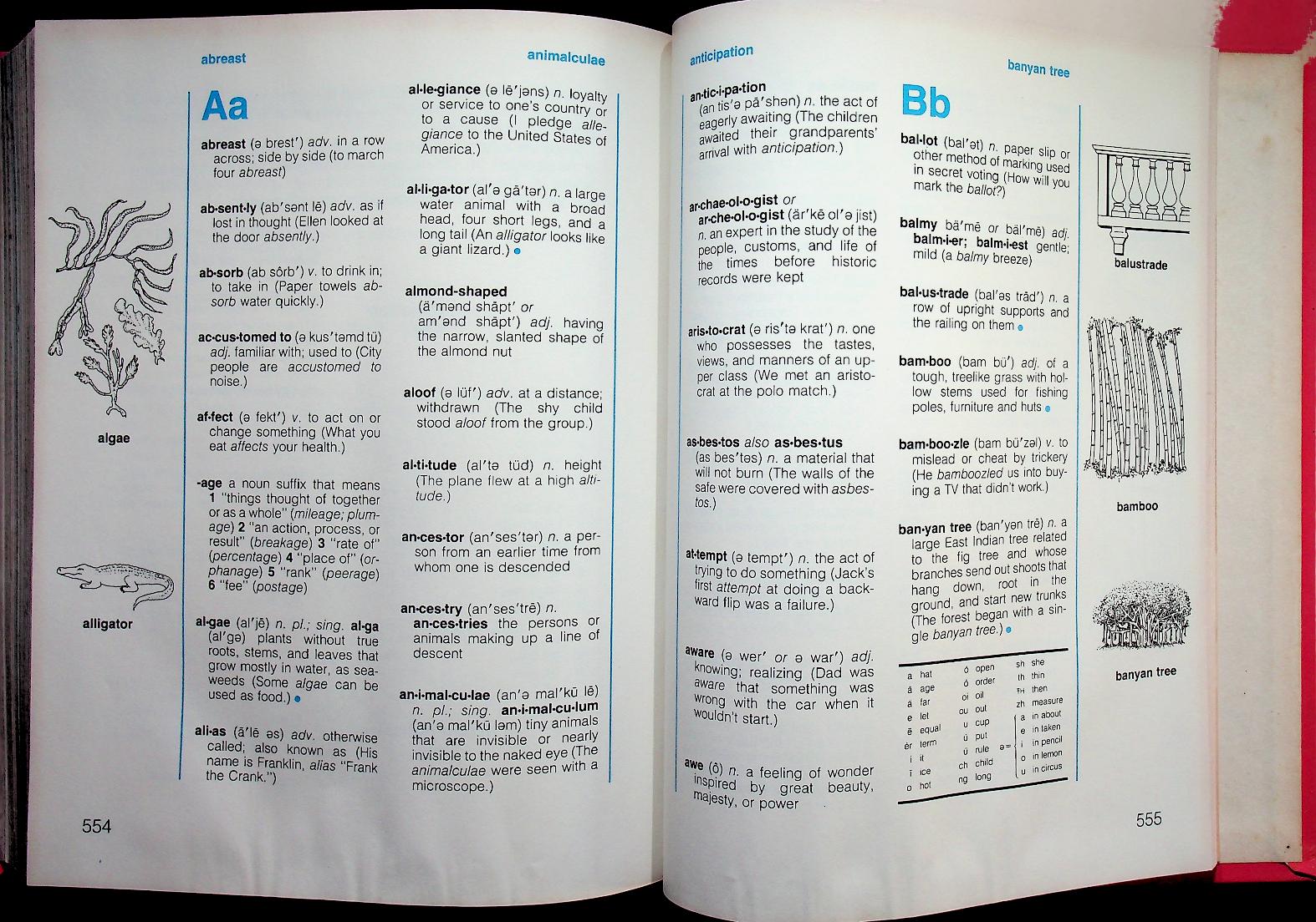 CROSSING BOUNDARIES : HEATH AMERICAN READERS