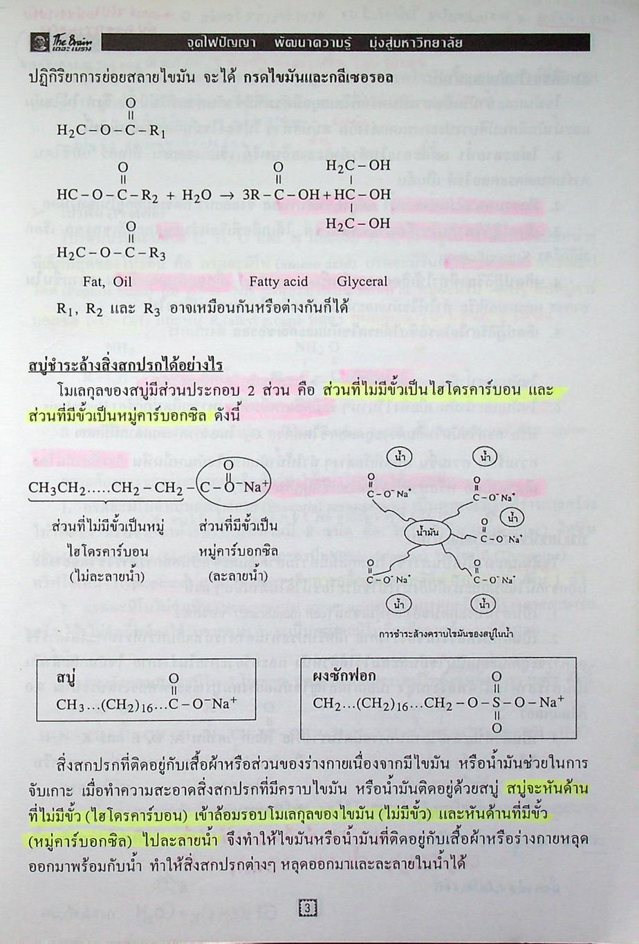 The Brain เดอะเบรน เอกสารประกอบการเรียน วิชา วิทยาศาสตร์ O-NET เรื่อง สารชีวโมเลกุล ปิโตรเลียม พอลิเมอร์ ปฏิกิริยาเคมี โครงสร้างของอะตอมและตารางธาตุ ธาตุและสารประกอบ