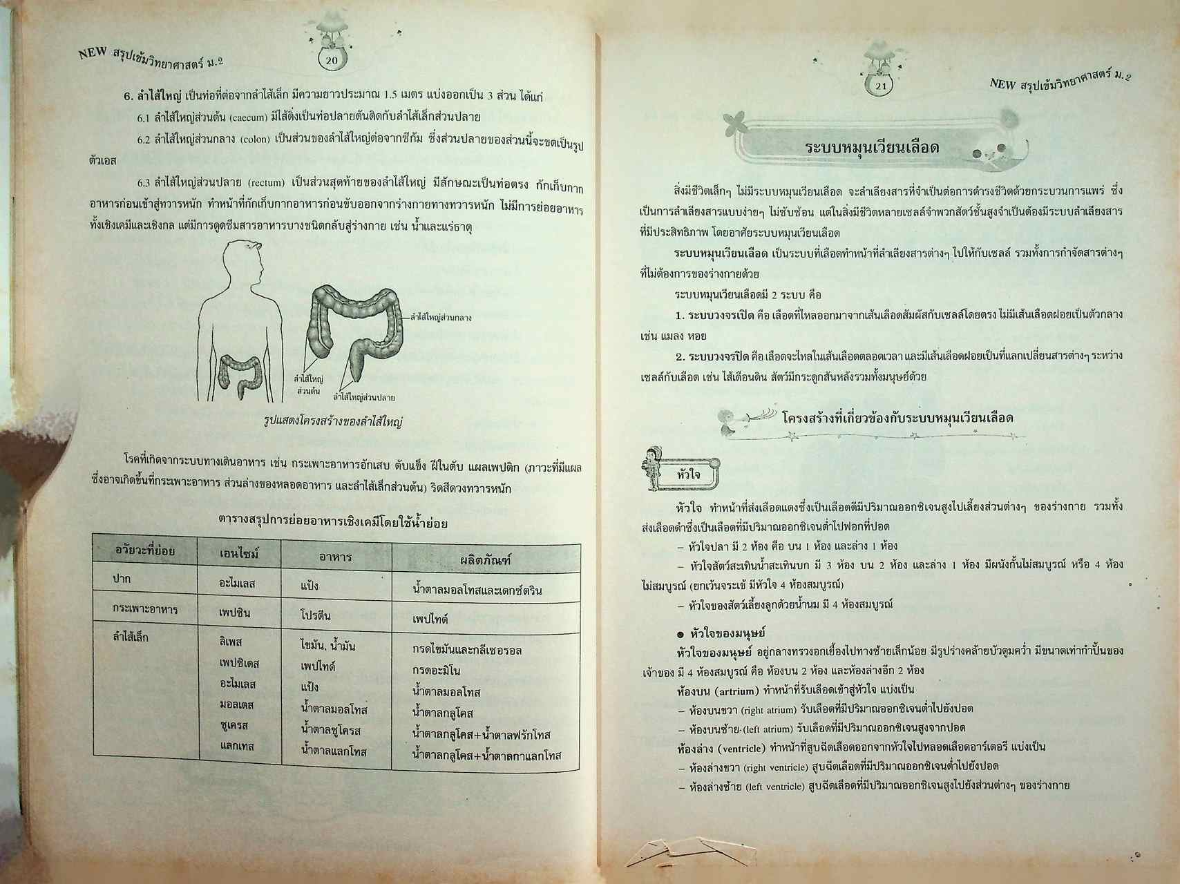 NEW สรุปเข้มวิทยาศาสตร์ ม.2 ตรงตามหลักสูตรแกนกลาง พ.ศ. 2551