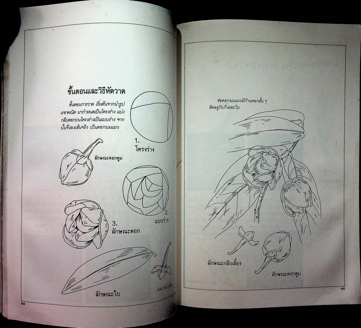 วาดดอกไม้