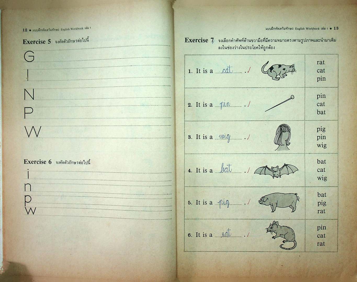 แบบฝึกหัดเสริมทักษะสำหรับ ENGLISH IS FUN BOOK 1 PRATOM 5-1