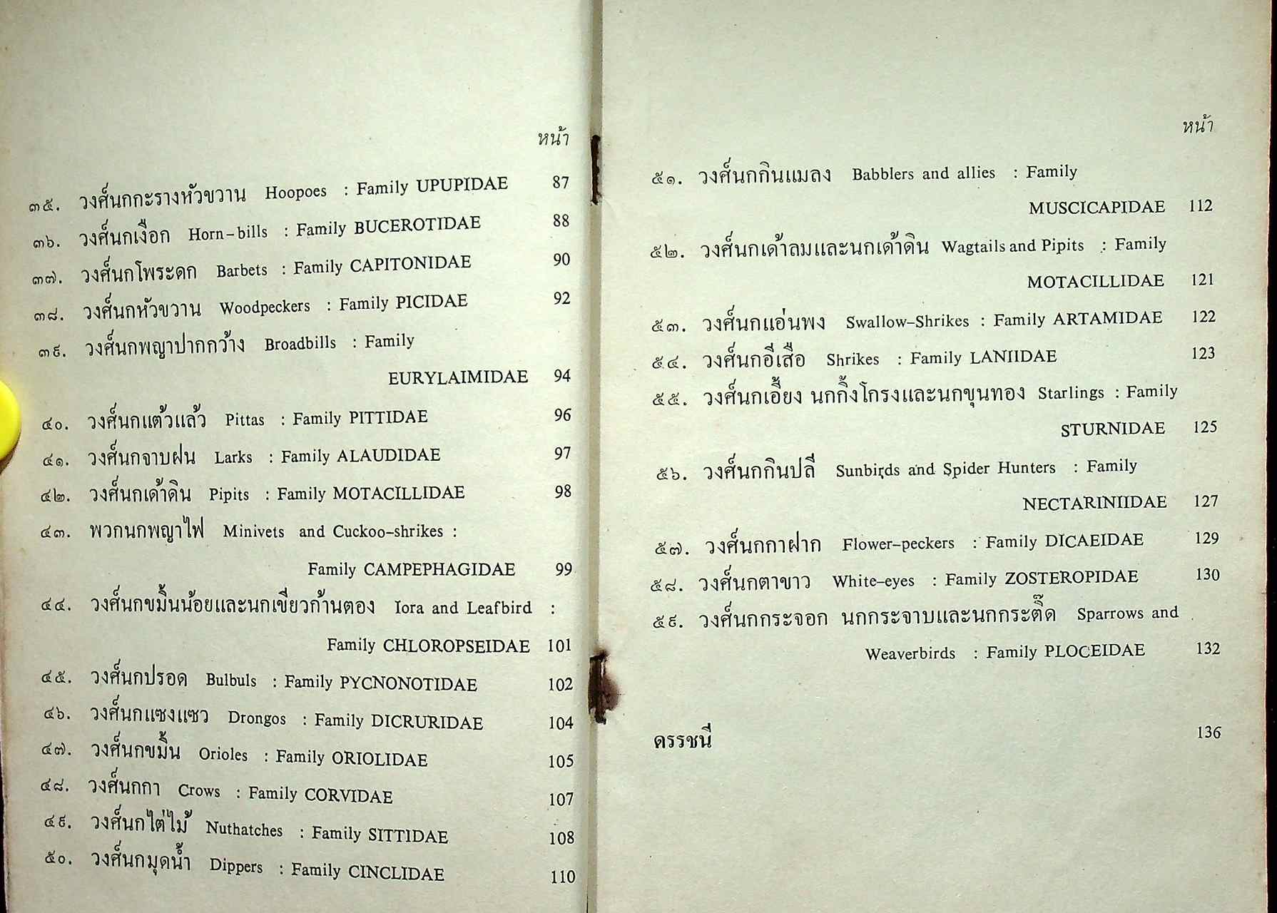 หนังสืออ่านเพิ่มเติมวิชาสังคมศึกษา เรื่อง นก ประโยคประถมศึกษา