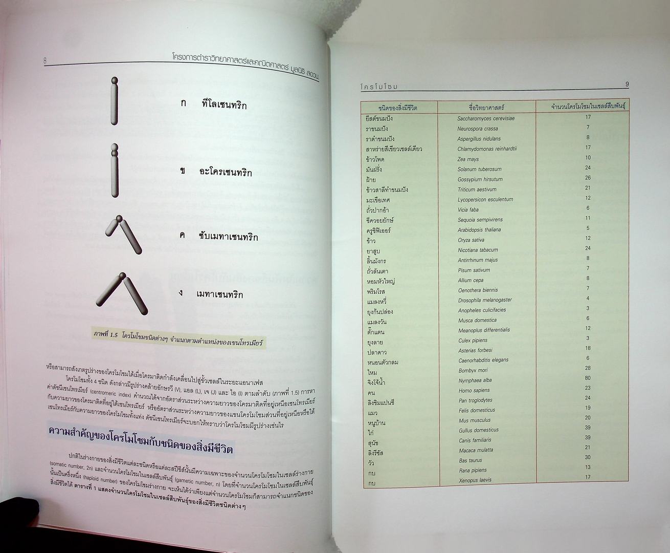 ชีววิทยา 3