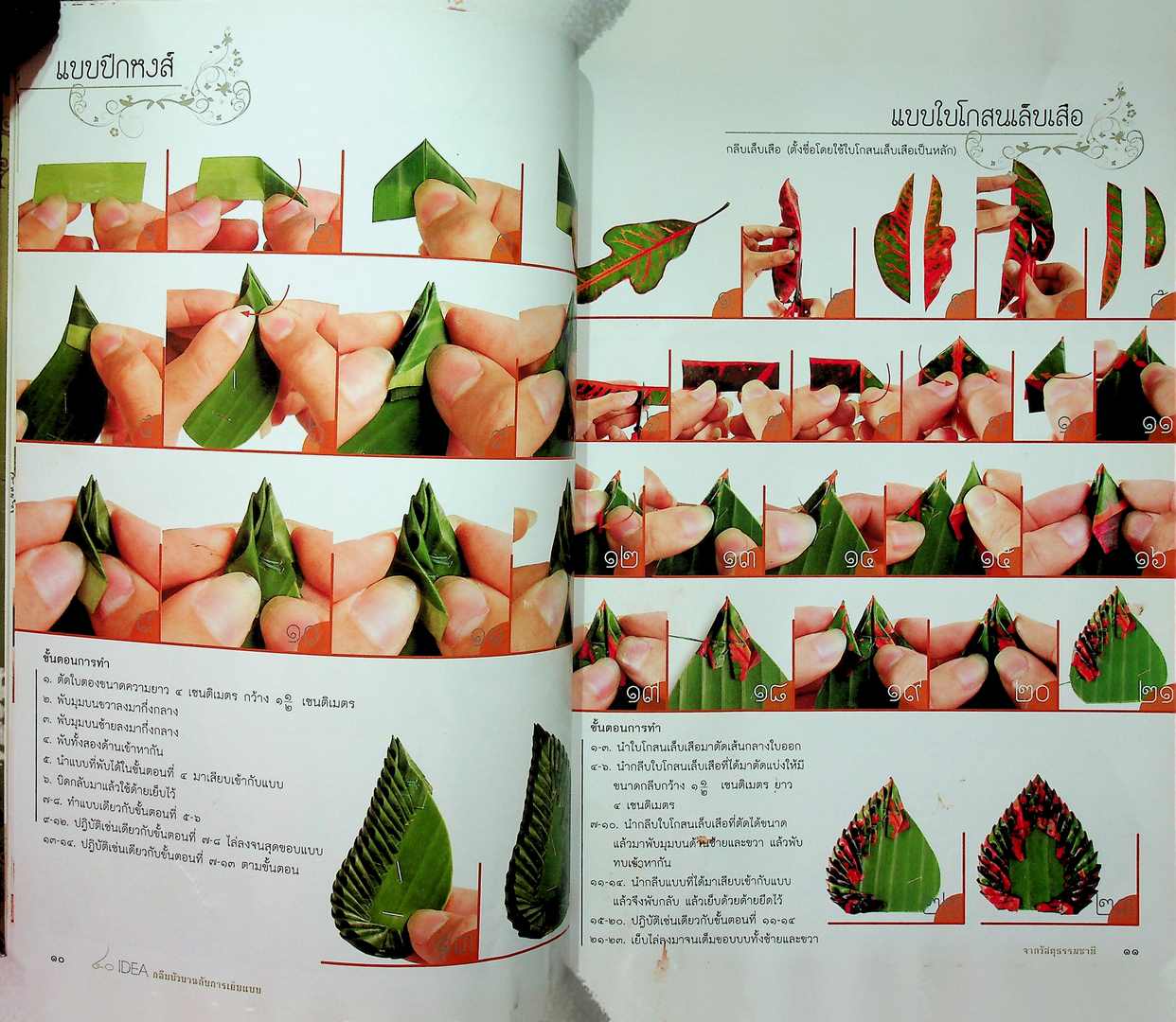 ๔๐ IDEA กลีบบัวบาน กับการเย็บแบบ