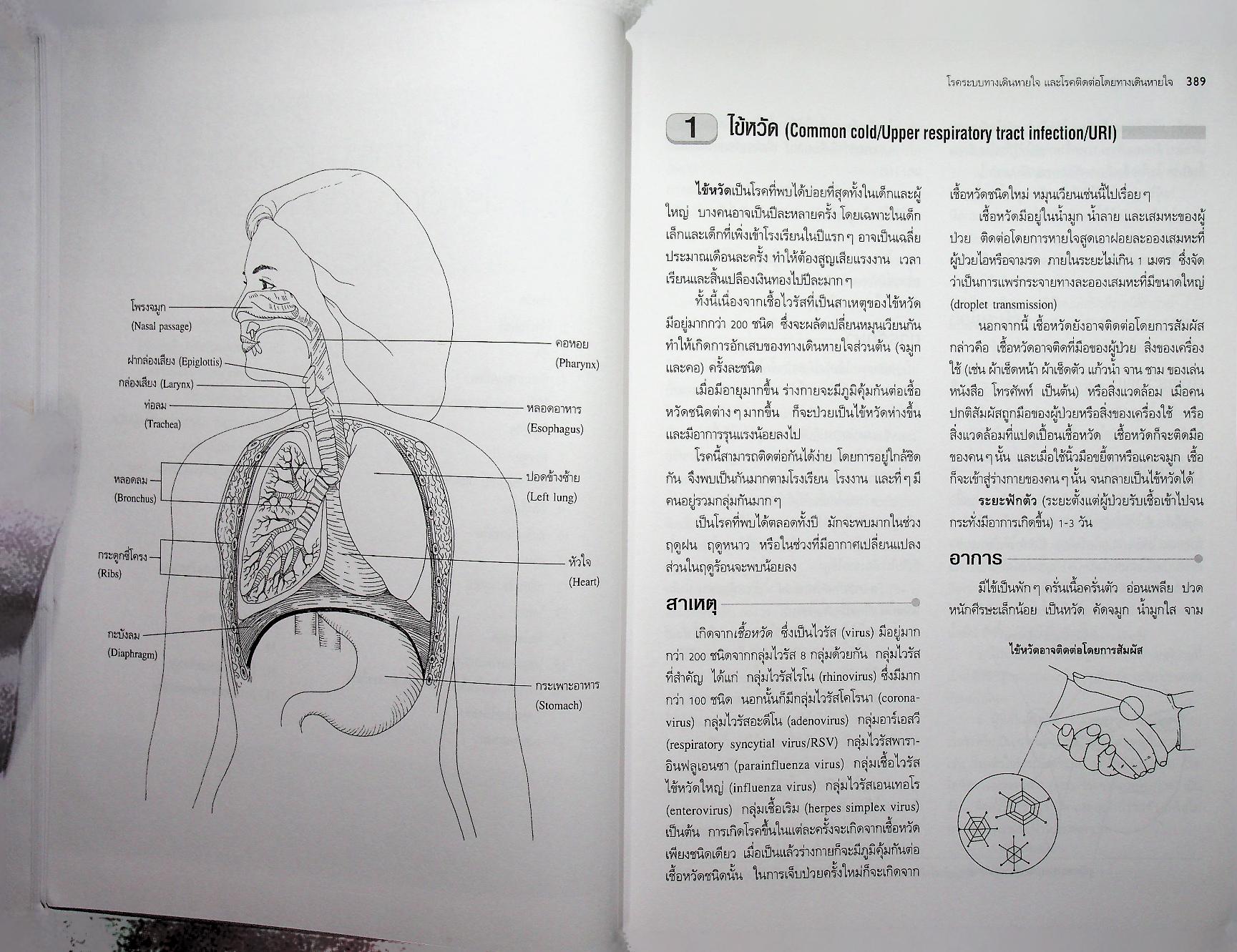 ตำราการตรวจรักษาโรคทั่วไป 2 : 350 โรคกับการดูแลรักษาและการป้องกัน