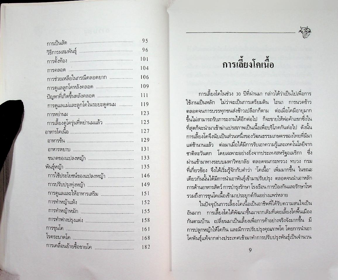 การเลี้ยงโคเนื้อ