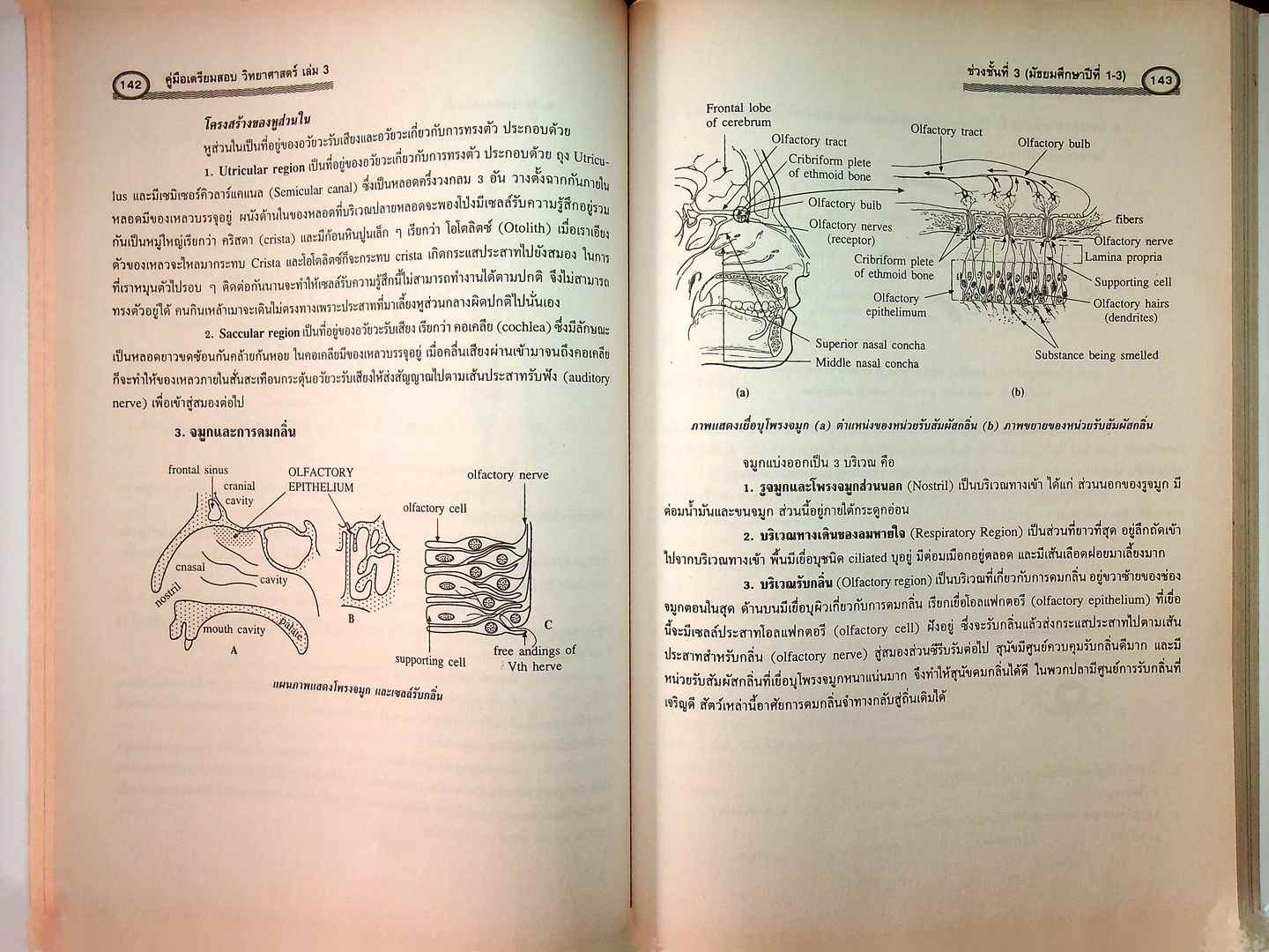 วิทยาศาสตร์ 3 ช่วงชั้นที่3 (มัธยมศึกษาปีที่ 1-3) กลุ่มสาระการเรียนรู้วิทยาศาสตร์