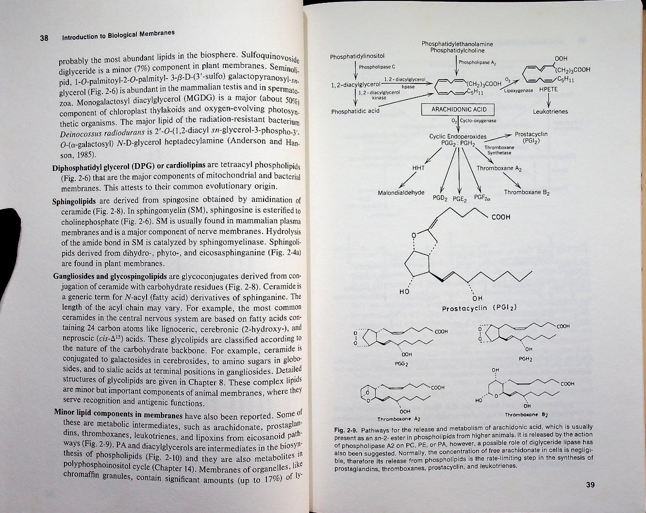 INTRODUCTION TO BIOLOGICAL MEMBRANES