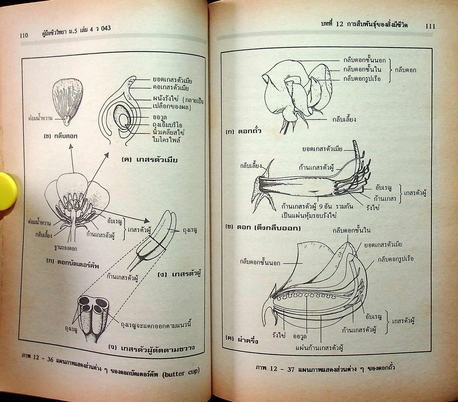 ชีววิทยา ม.5 เล่ม 4 ว 043