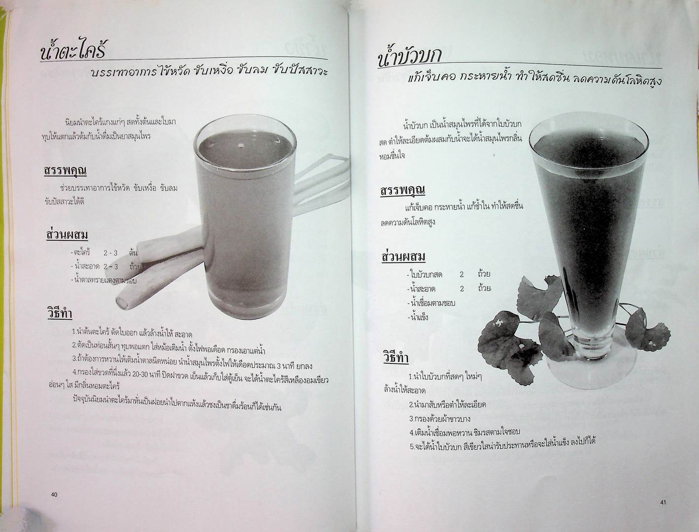คู่มืออาหารปลอดสารพิษ เครื่องดื่มเพื่อสุขภาพ น้ำผัก น้ำผลไม้ น้ำสมุนไพร น้ำธัญพืช