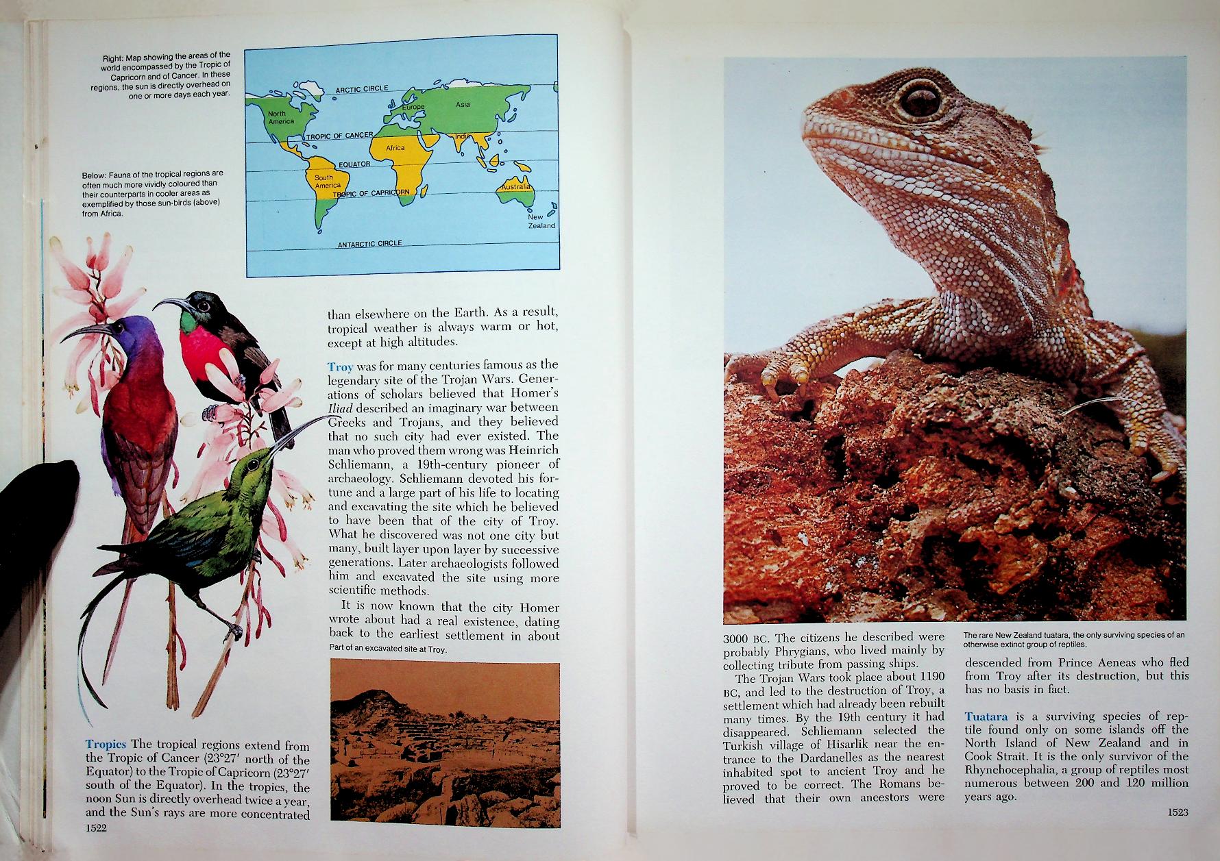 The 21st Century JUNIOR WORLD Encyclopedia 10