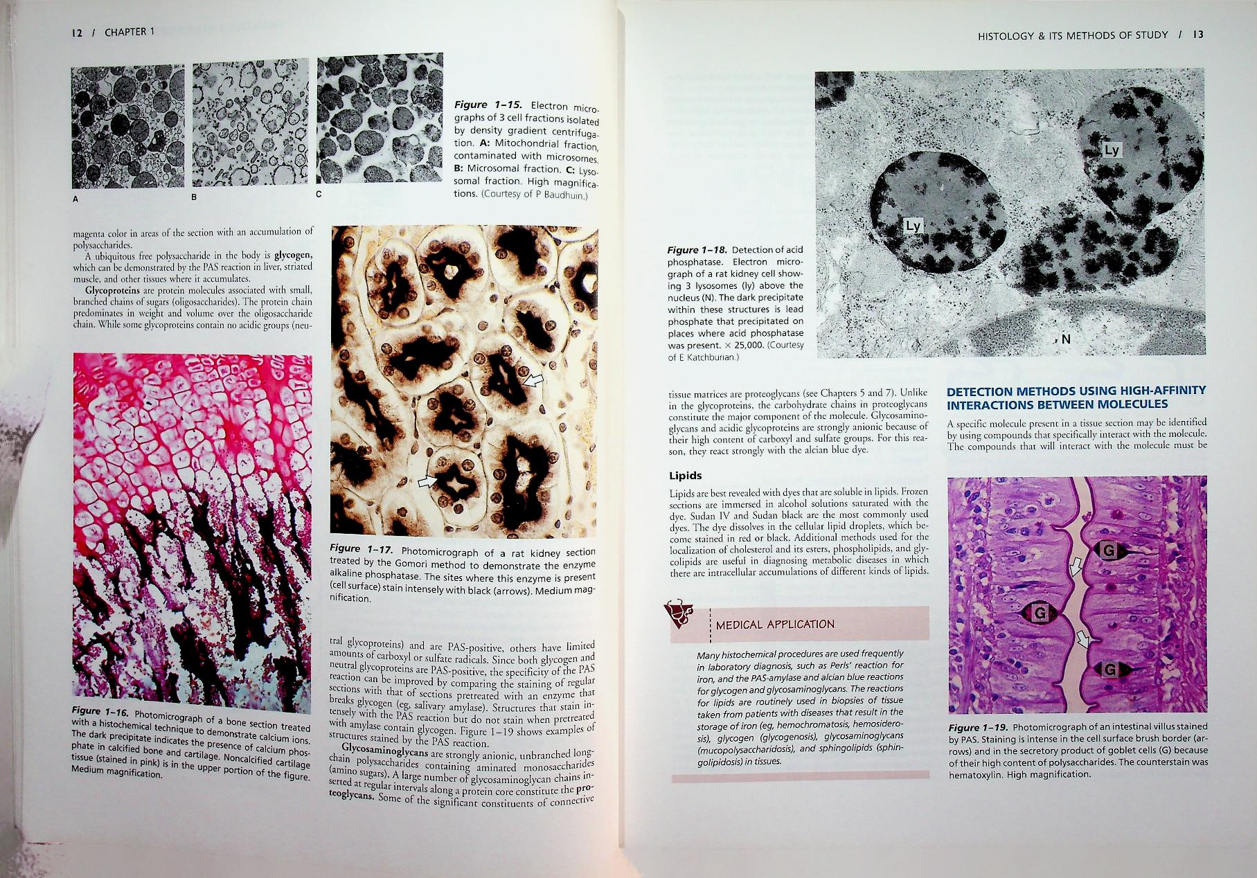 basic histology TEXT & ATLAS