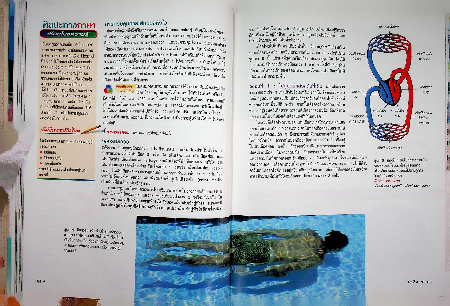 สำรวจโลกวิทยาศาสตร์ สุขภาพและชีววิทยามนุษย์