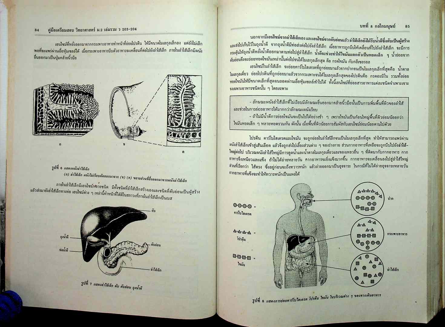 คู่มือเตรียมสอบ วิทยาศาสตร์ ม.2 เล่มรวม 3-4 ว 203-ว 204