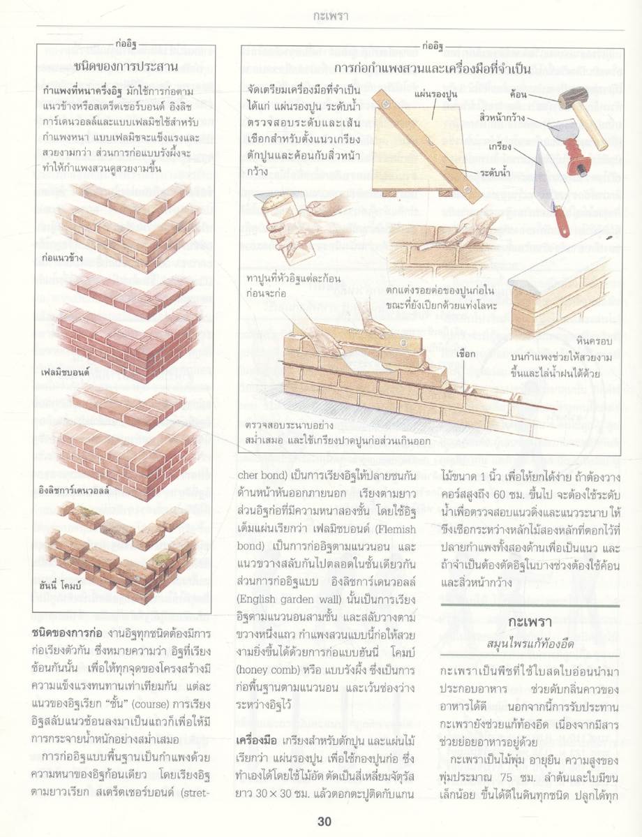 สารพัด ถนัดทำ (รีดเดอร์ส ไดเจสท์)