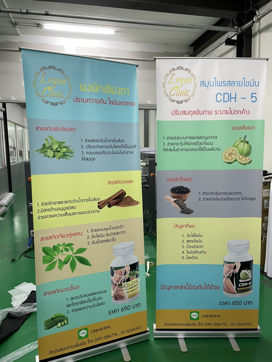 ป้ายโรลอัพ ROLL-UP งานสมุนไพรสลายไขมัน CDH-5