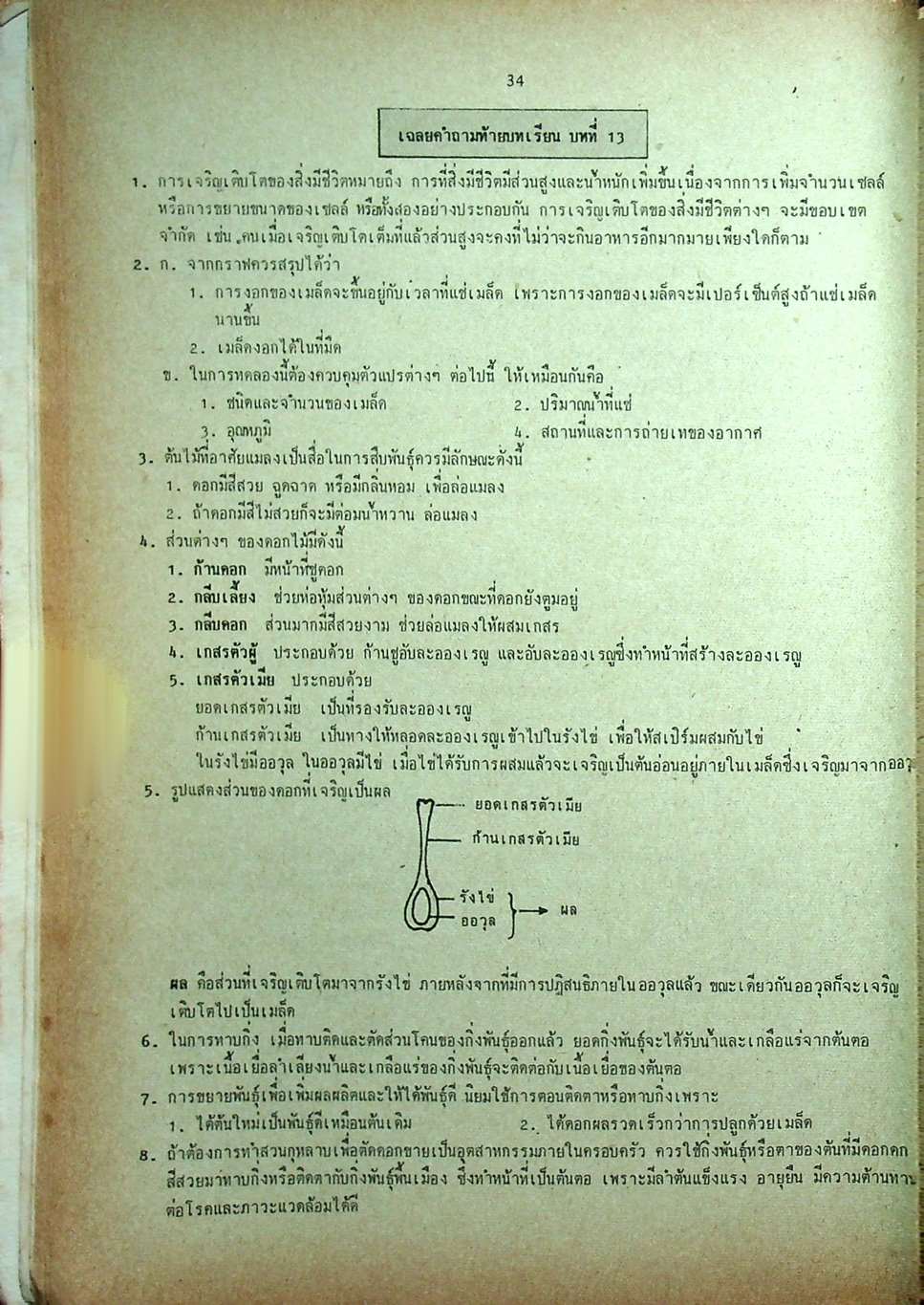 คู่มือ วิทยาศาสตร์ ม.3 เล่ม 5-6 ว.305,306 ปรับปรุงใหม่ สมบูรณ์ที่สุด