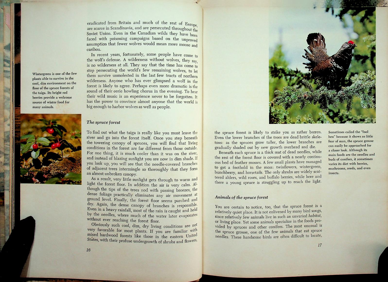 The Life of the Far North