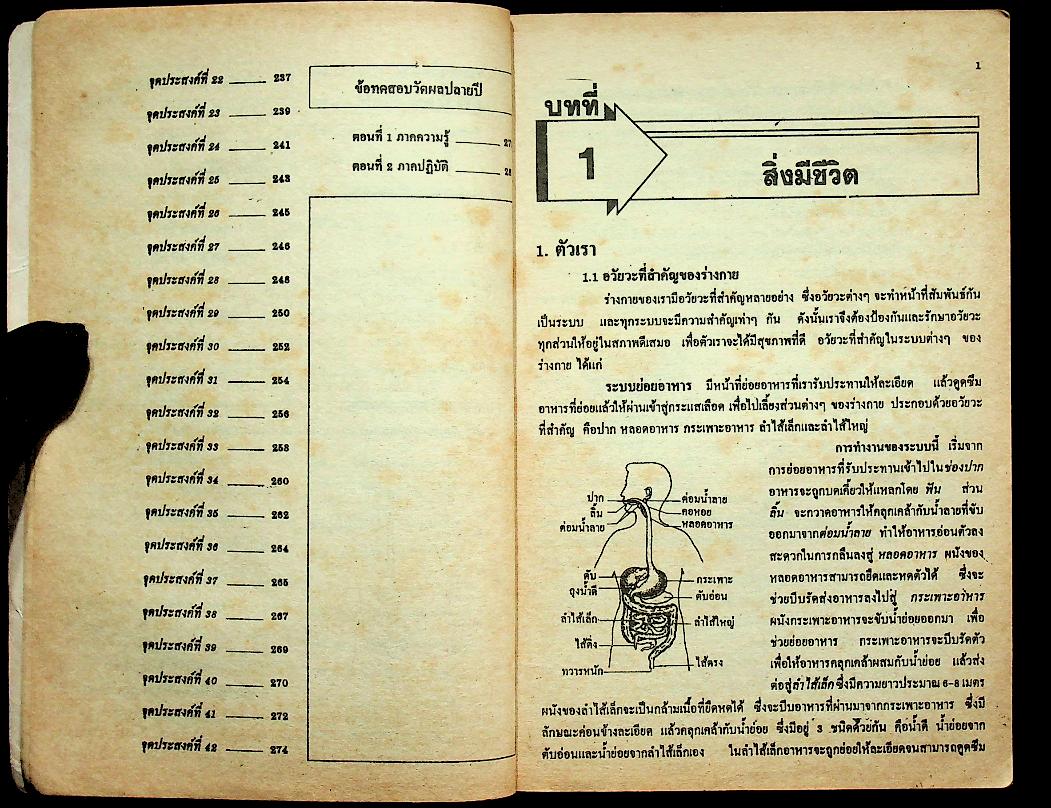 เฉลย แบบเรียนมาตรฐาน ฉบับพิเศษ สปช. ชั้นประถมศึกษาปีที่ 6