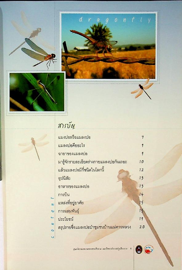 แมลงปอ ป่าชุมชนบ้านแม่คาวหลวง