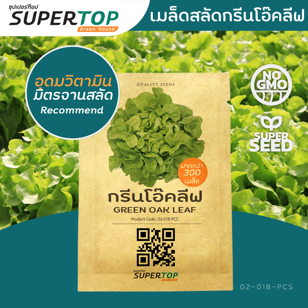 เมล็ดพันธุ์ผักสลัดออร์แกนิก RAILUNGTOP | เก็บจากฝัก สดจากไร่ลุงท๊อป ออร์แกนิก