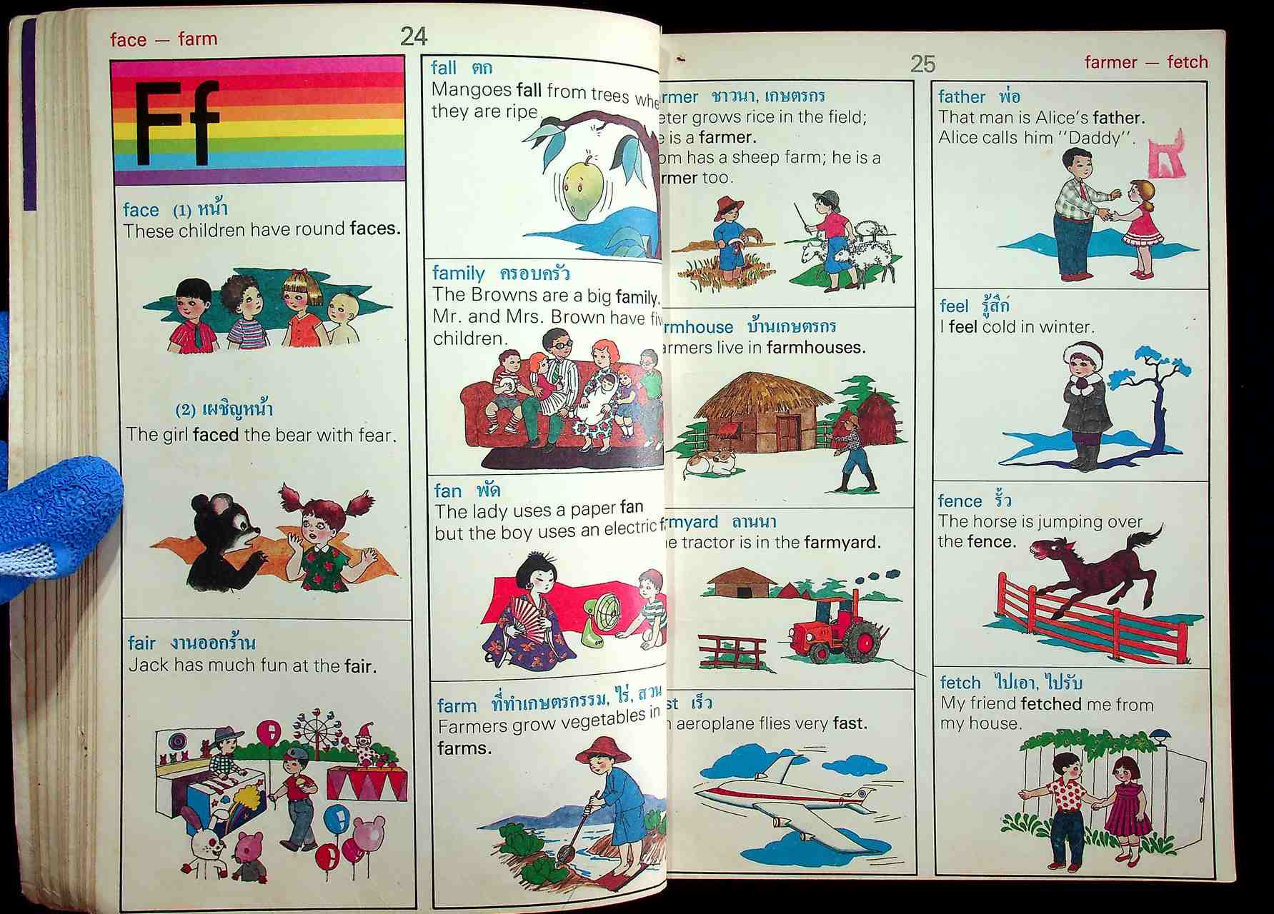 THE COLOR PICTURE DICTIONARY