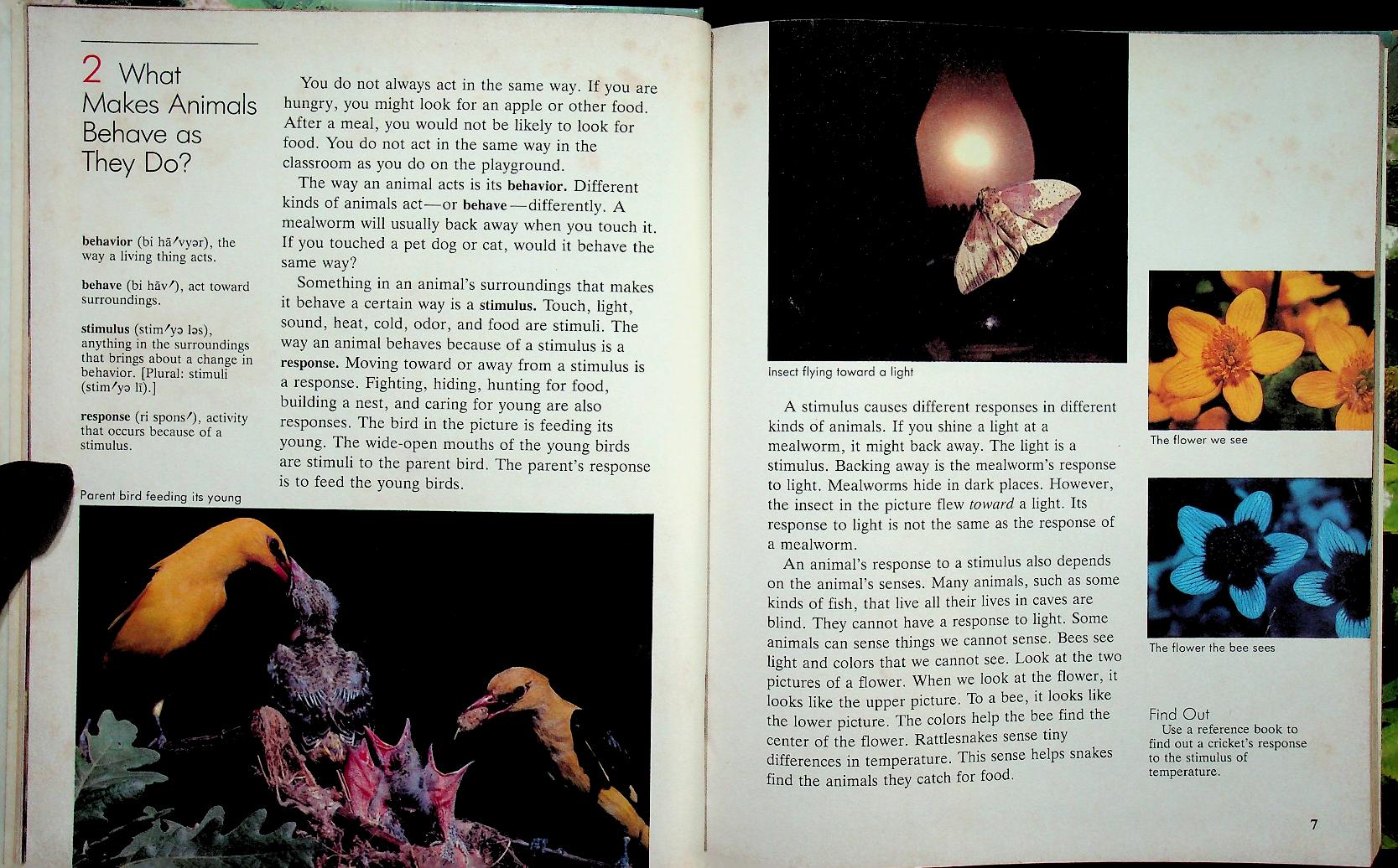 Scott, Foresman Science