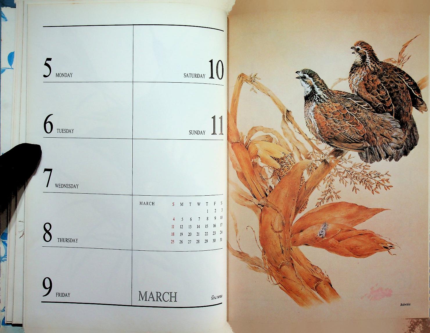 สมุดไดอารี่ ภาพวาดนก EXOTIC BIRDS : CENTRAL DIARY 1990