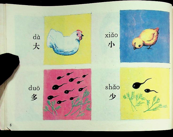 สมุดภาพคำศัพท์ภาษาจีน (ฉบับภาษาจีน)