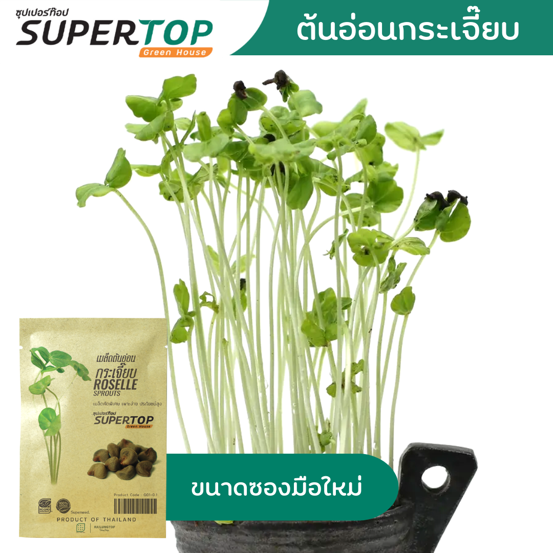เมล็ดเพาะต้นอ่อน (Microgreen) SUPERTOP | Non-GMO ขนาดซองมือใหม่