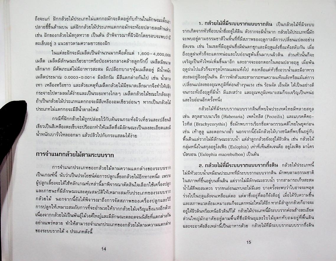 กล้วยไม้