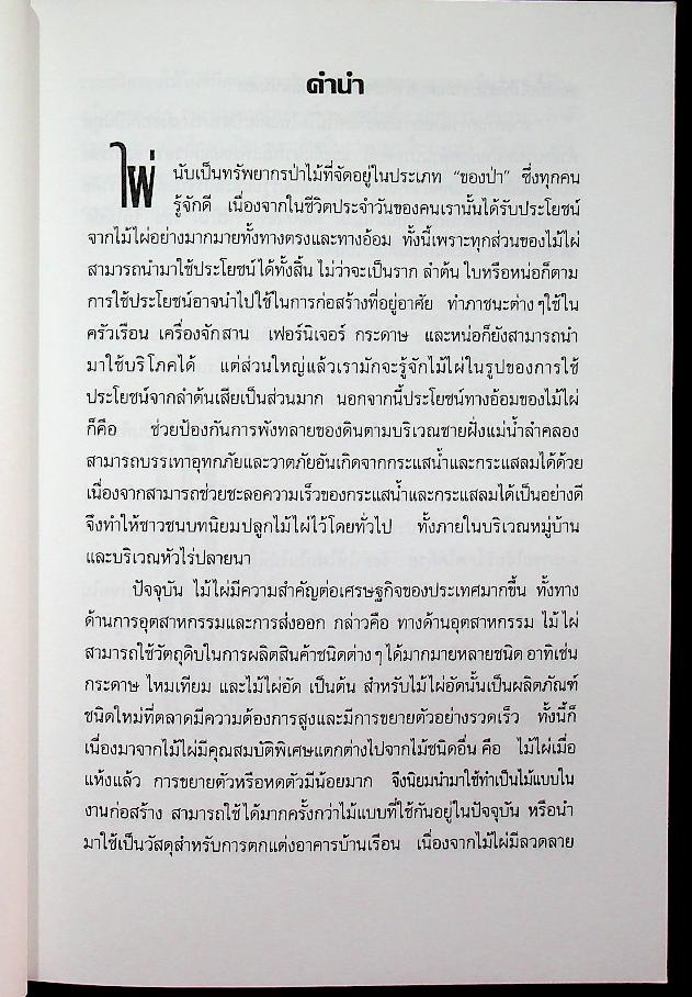 การปลูกไม้ไผ่