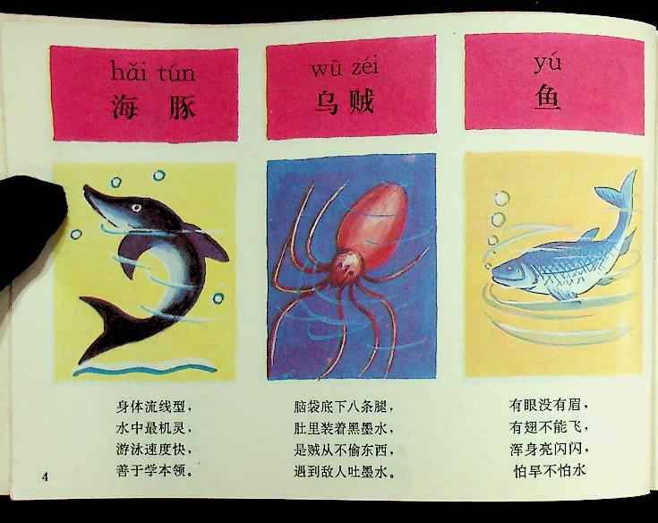 สมุดภาพคำศัพท์ภาษาจีน (ฉบับภาษาจีน)