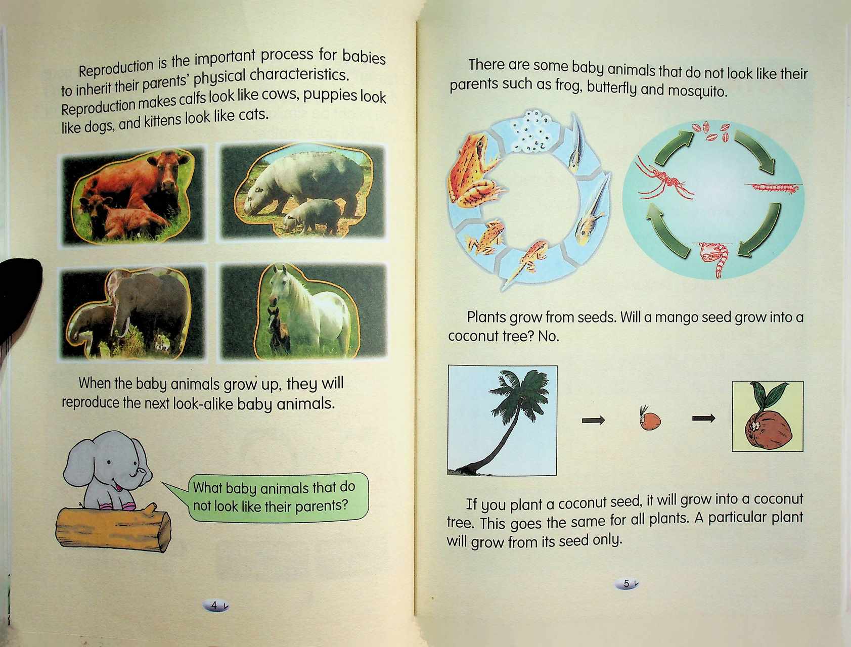 Science Contents of Learning for Science Level 1 Pratomsuksa 3