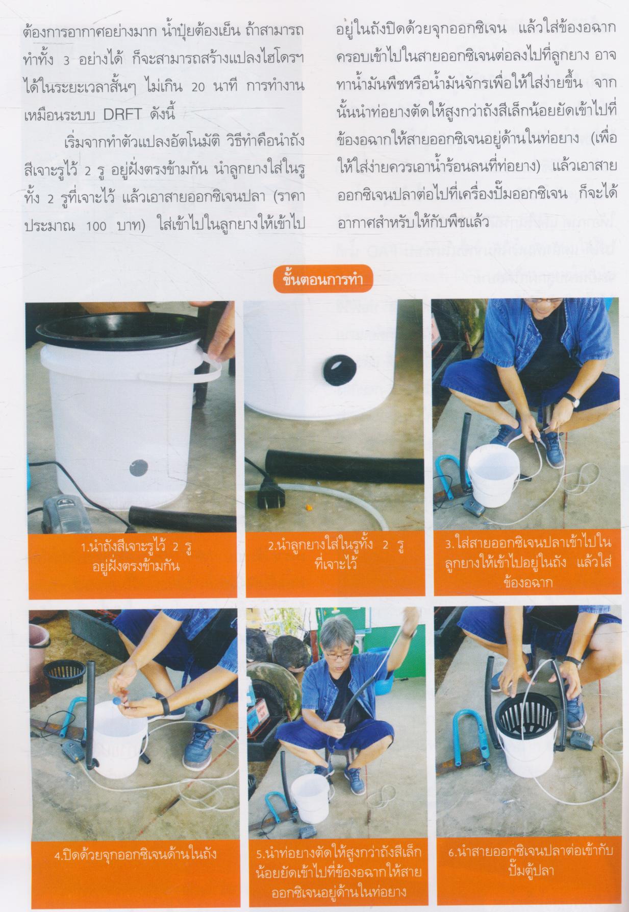 ผักไฮโดรโปนิกส์ (ฉบับชาวบ้าน)