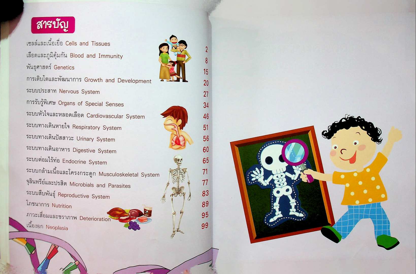 ระบบร่างกายของมนุษย์ ระดับประถม เสริมความรู้ในชั้นเรียน