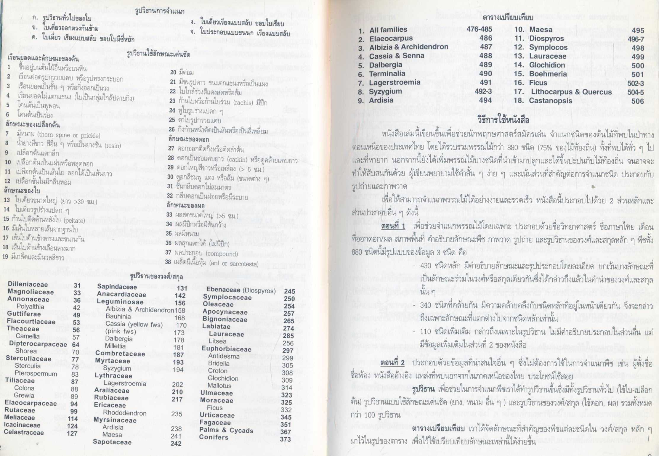 ต้นไม้เมืองเหนือ