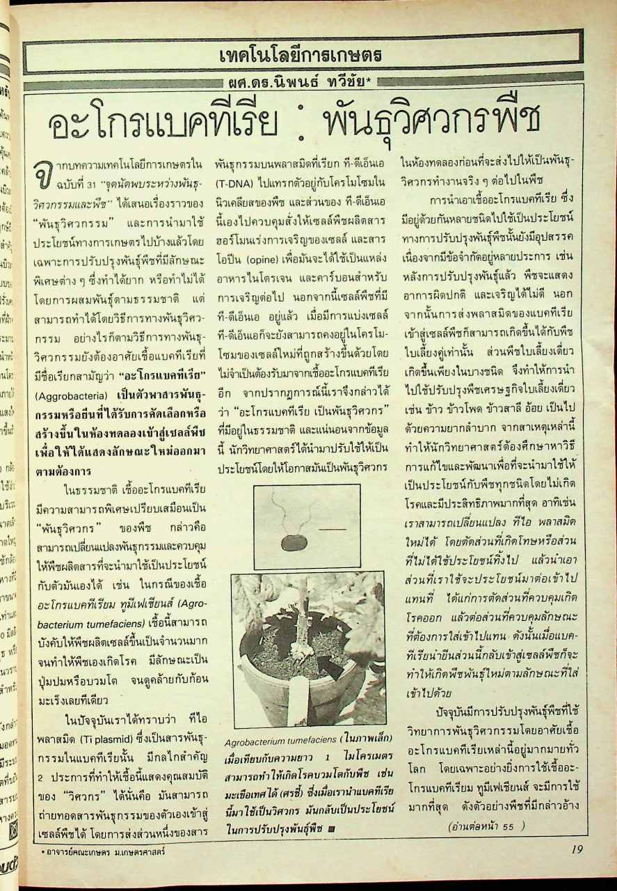 รู้รอบตัว ปีที่ 3 ฉบับที่ 33 : ตุลาคม 2531